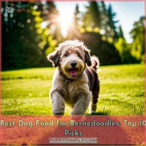 best dog food for bernedoodles