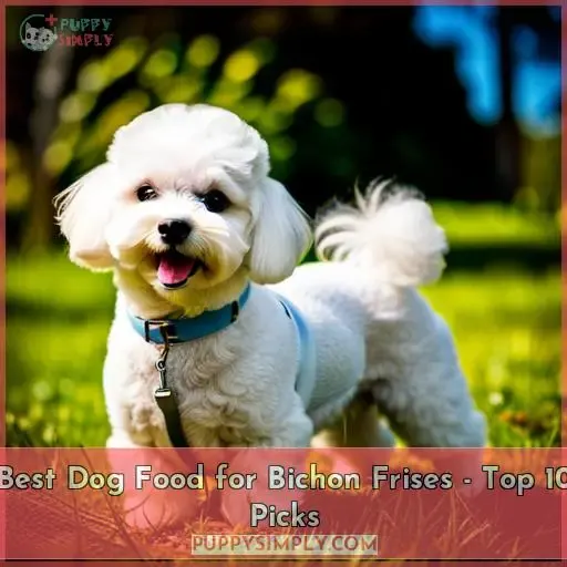 best dog food for bichon frises