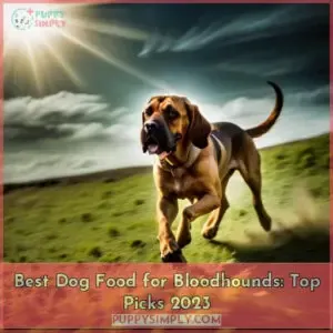 best dog food for bloodhounds