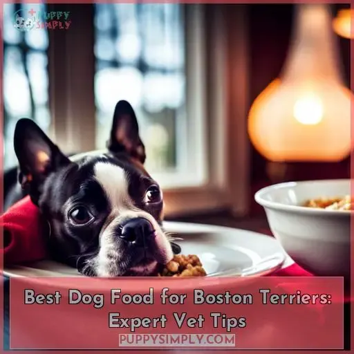 best dog food for boston terriers