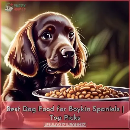 best dog food for boykin spaniels