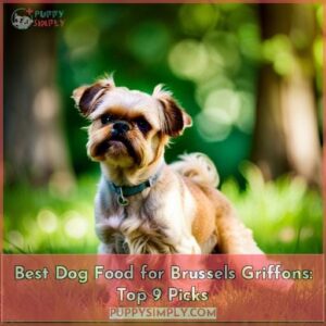 best dog food for brussels griffons