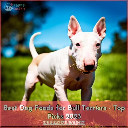 best dog food for bull terriers