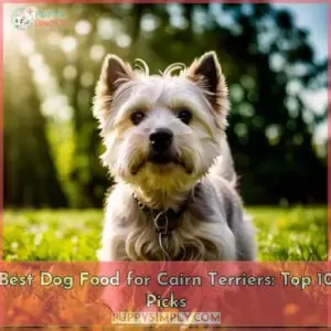 best dog food for cairn terriers