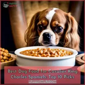 best dog food for cavalier king charles spaniels