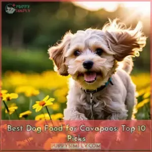 best dog food for cavapoos