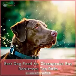 best dog food for chesapeake bay retrievers