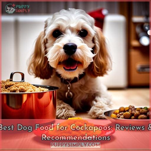 best dog food for cockapoos