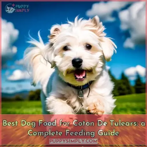 best dog food for coton de tulears