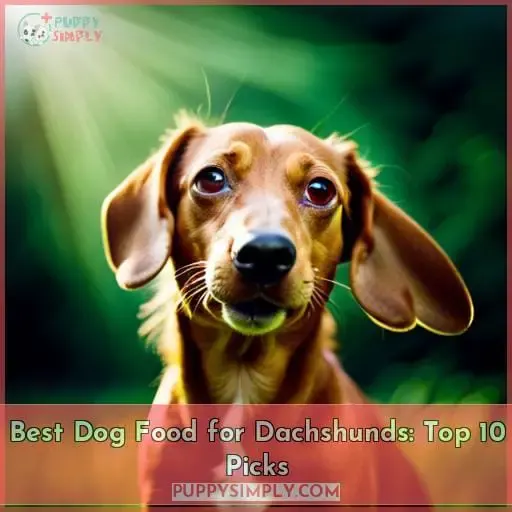 best dog food for dachshunds
