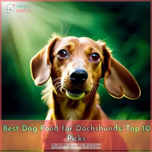 Best Dog Food For Dachshunds Top 10 Picks