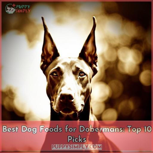 Best Dog Foods for Dobermans Top 10 Picks