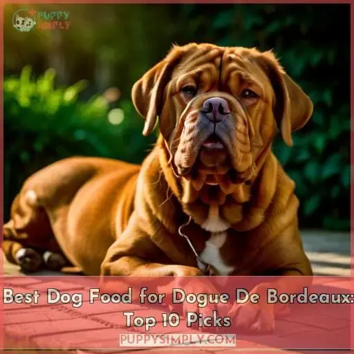 best dog food for dogue de bordeaux