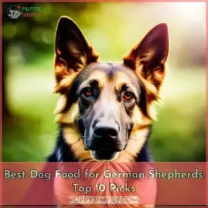 best dog food for german shepherds