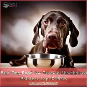best dog food for german shorthaired pointers