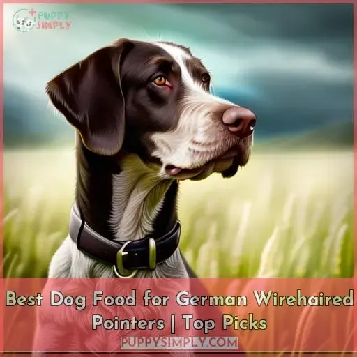 best dog food for german wirehaired pointers