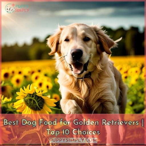 Best Dog Food for Golden Retrievers Top 10 Choices