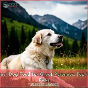 best dog food for great pyrenees