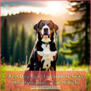 best dog food for greater swiss mountain dogs