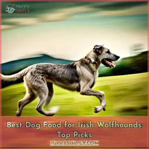best dog food for irish wolfhounds