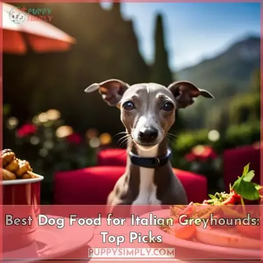 best dog food for italian greyhounds