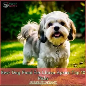 best dog food for lhasa apsos