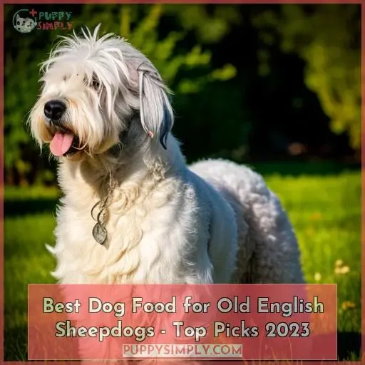 best dog food for old english sheepdogs