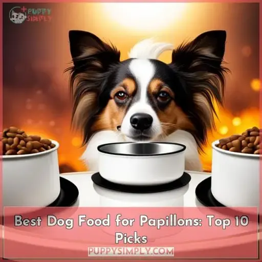 best dog food for papillons