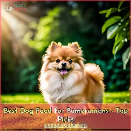 best dog food for pomeranians