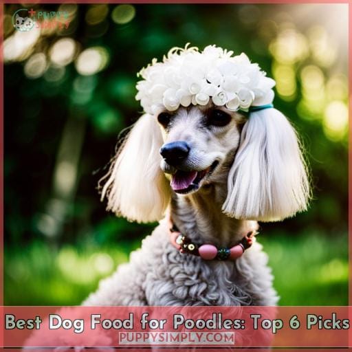 Best Dog Food For Poodles Top 6 Picks