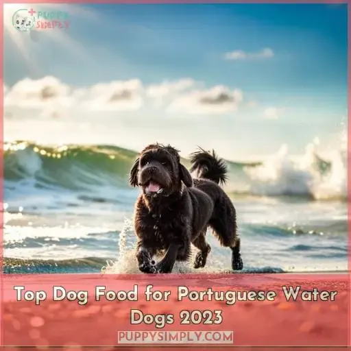 best dog food for portuguese water dogs
