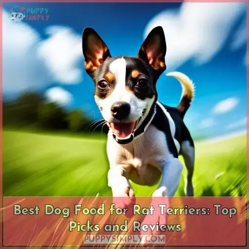 best dog food for rat terriers
