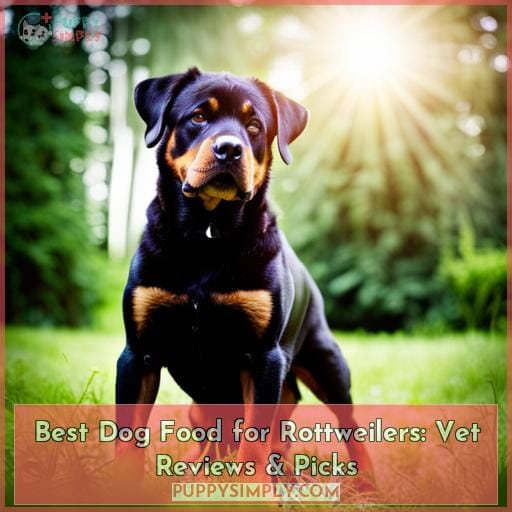 Best Dog Food for Rottweilers: Vet Reviews & Picks