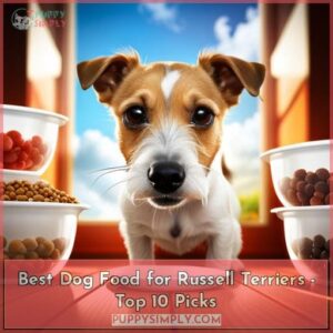 best dog food for russell terriers