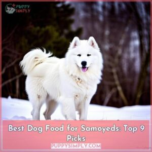 best dog food for samoyeds