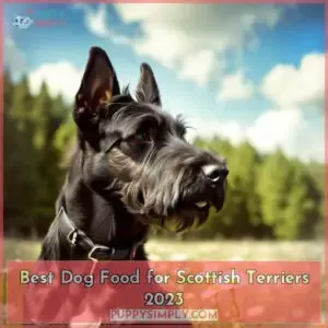 best dog food for scottish terriers