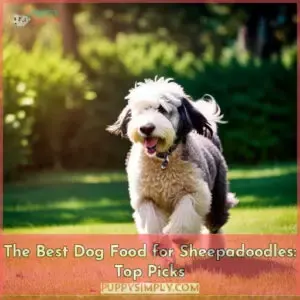 best dog food for sheepadoodles