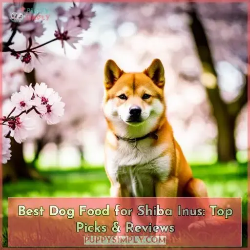 best dog food for shiba inus