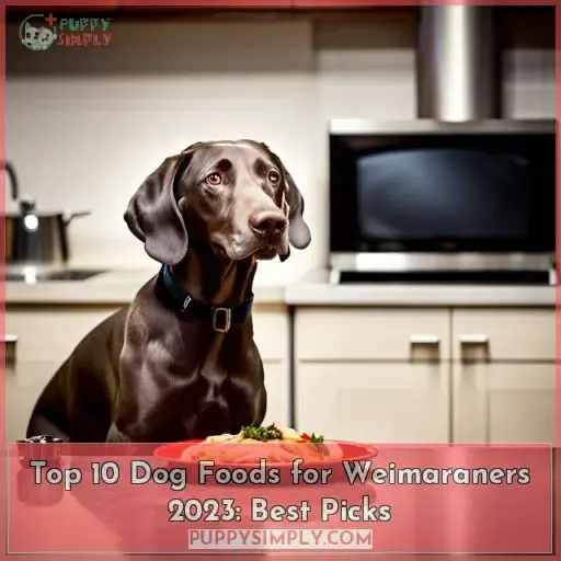 best dog food for weimaraners 2023 top picks