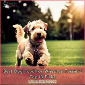 best dog food for wheaten terriers