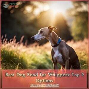best dog food for whippets