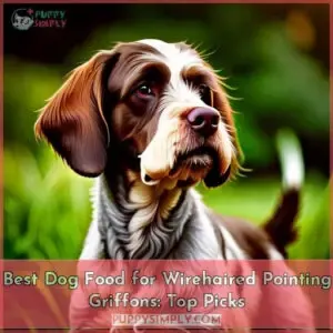 best dog food for wirehaired pointing griffons