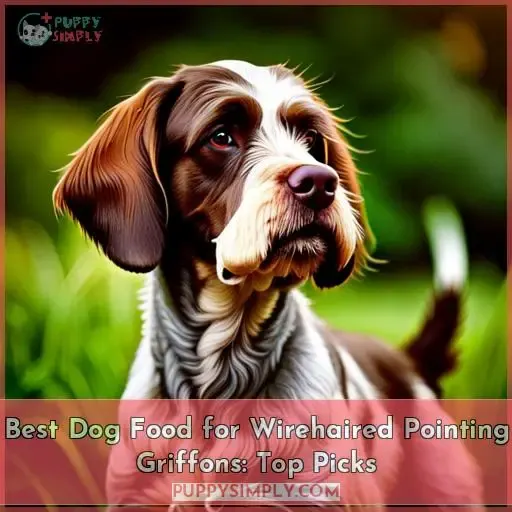 best dog food for wirehaired pointing griffons