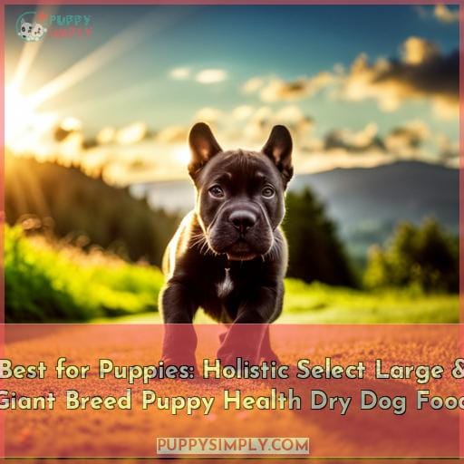 Best for Puppies: Holistic Select Large & Giant Breed Puppy Health Dry Dog Food