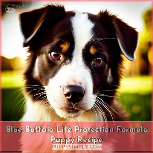 Blue Buffalo Life Protection Formula Puppy Recipe