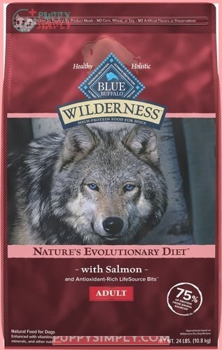 Blue Buffalo Wilderness Salmon Adult