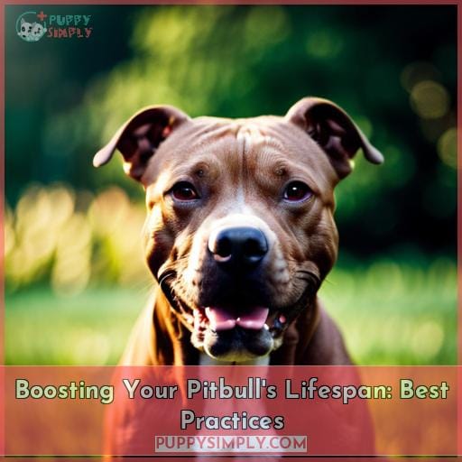 Boosting Your Pitbull