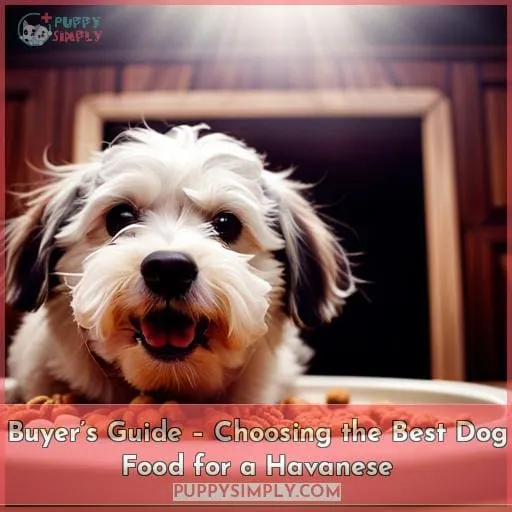 Buyer’s Guide – Choosing the Best Dog Food for a Havanese