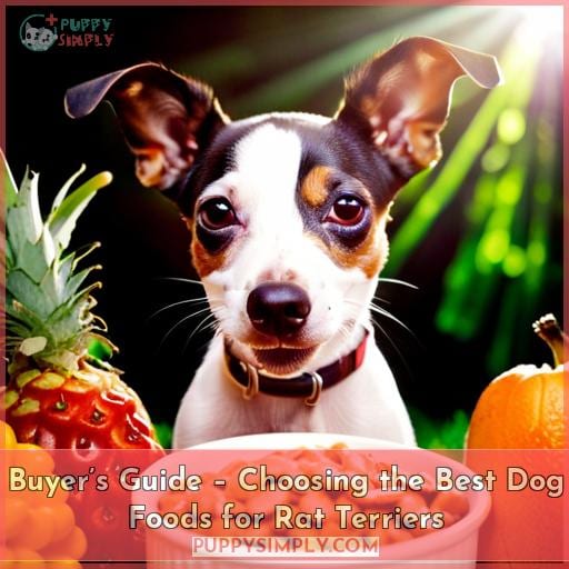 Buyer’s Guide – Choosing the Best Dog Foods for Rat Terriers