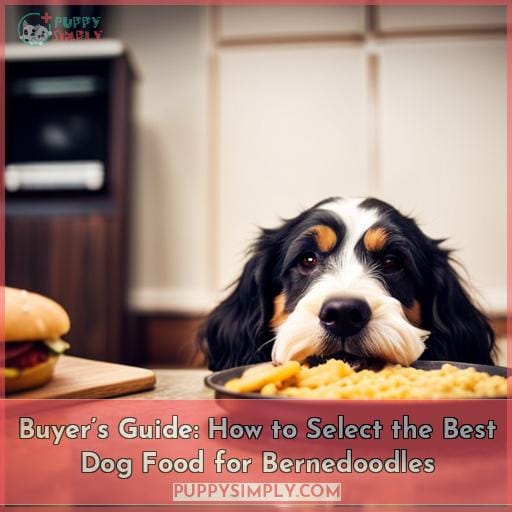 Buyer’s Guide: How to Select the Best Dog Food for Bernedoodles